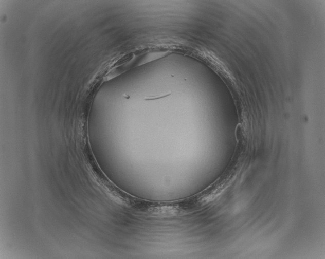 X0000076220449200610191537