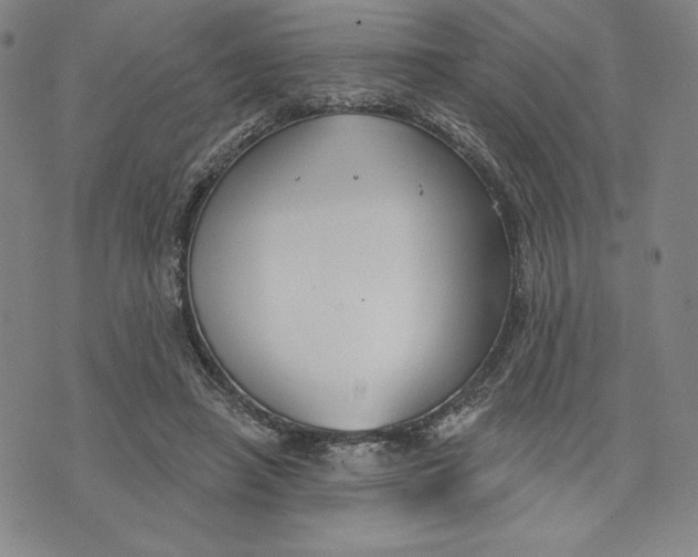 X0000076220450200610191537