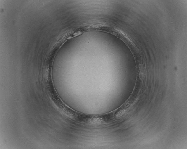 X0000076220451200610191537