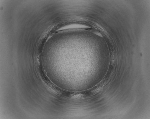 X0000076220452200610191537