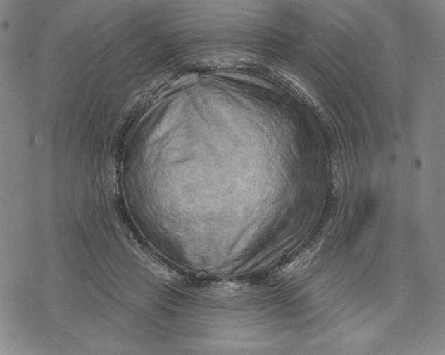 X0000076220453200610191537