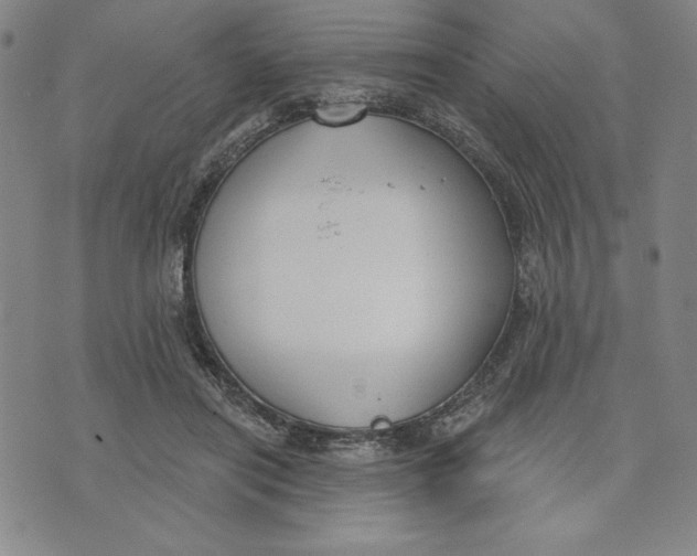 X0000076220454200610191537