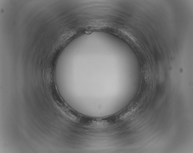 X0000076220455200610191537