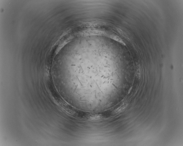 X0000076220456200610191537