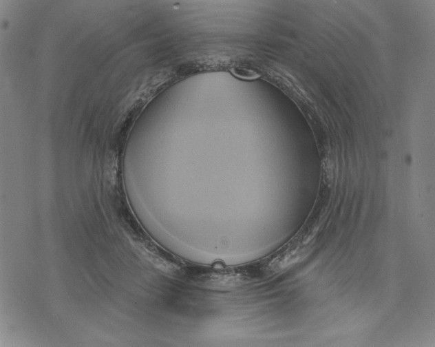 X0000076220458200610191537