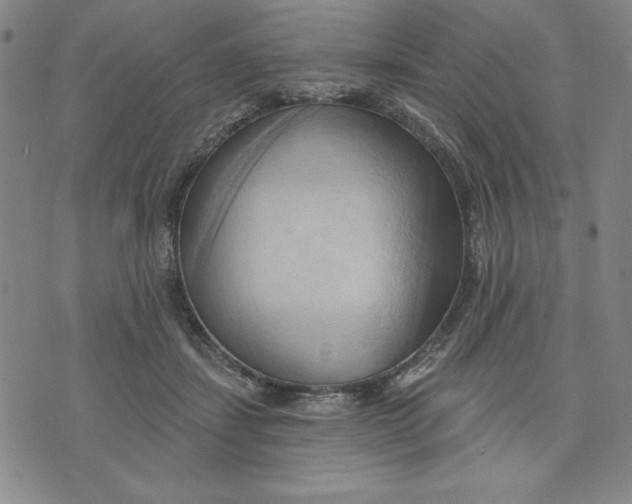 X0000076220459200610191537