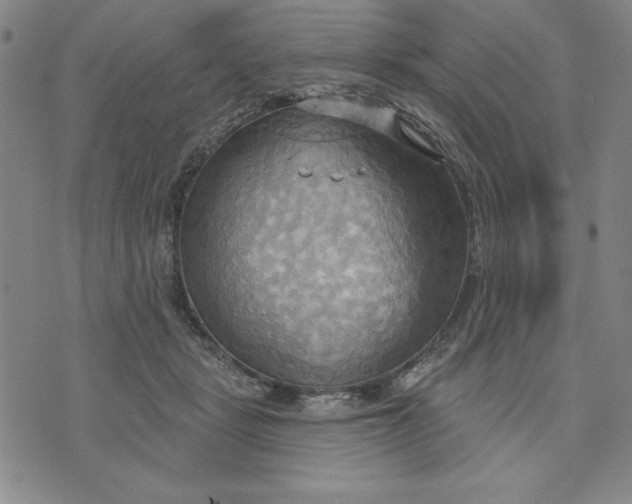 X0000076220461200610191537