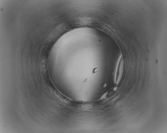 X0000076220462200610191537