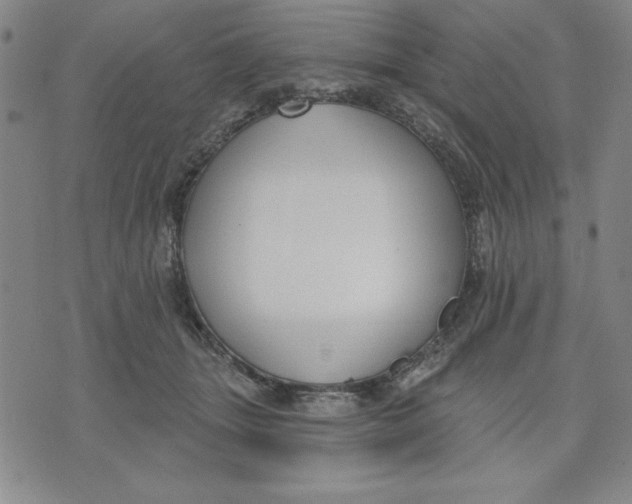 X0000076220463200610191537