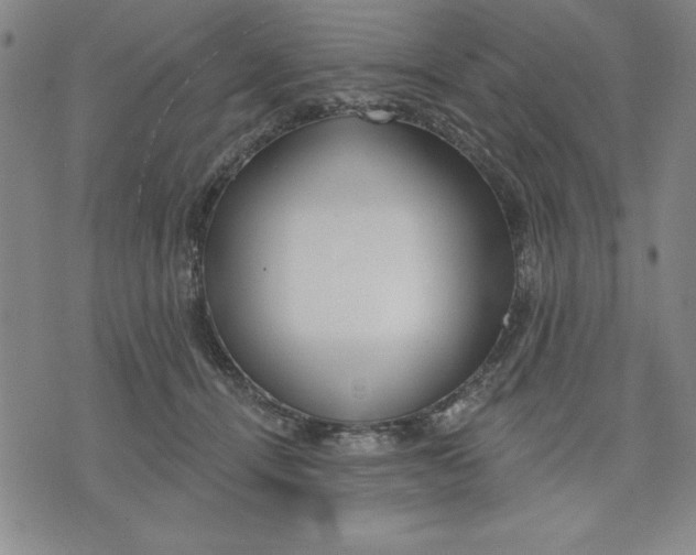 X0000076220464200610191537