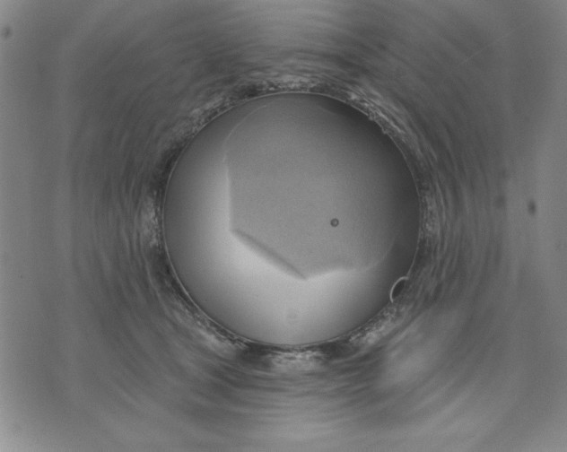 X0000076220465200610191537