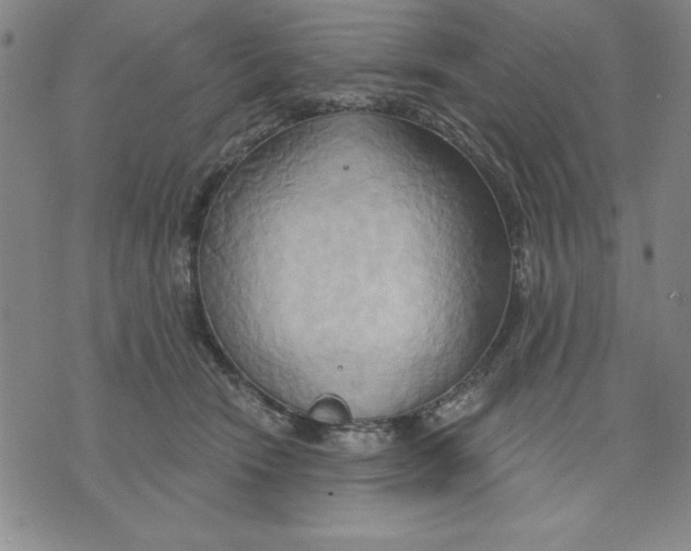 X0000076220466200610191537