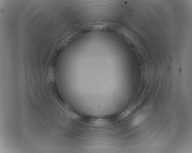 X0000076220467200610191537