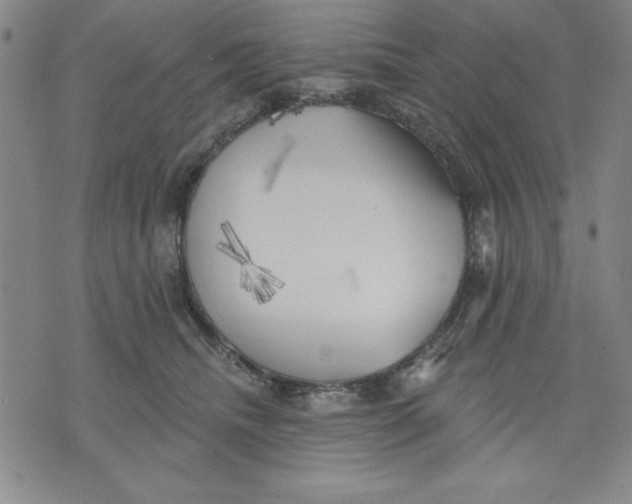 X0000076220468200610191537