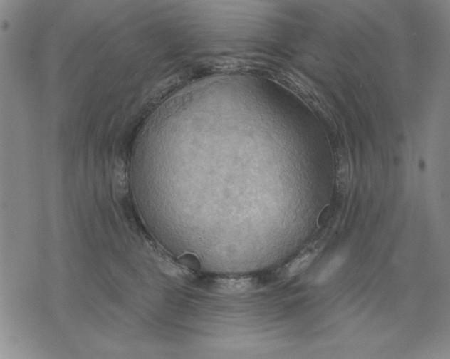 X0000076220469200610191537