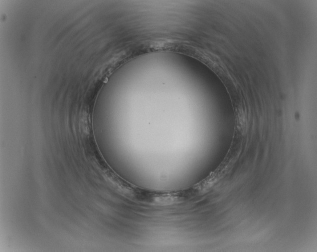 X0000076220470200610191537