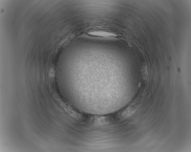 X0000076220472200610191537