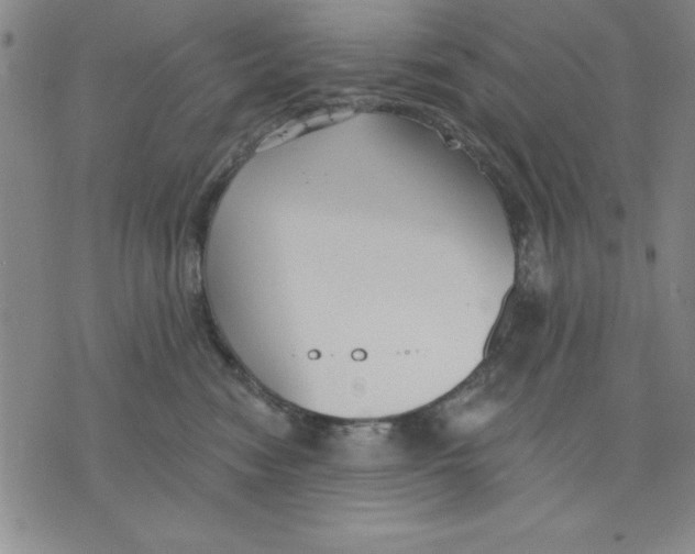 X0000076220474200610191537