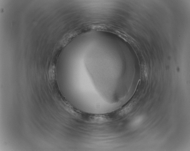 X0000076220475200610191537