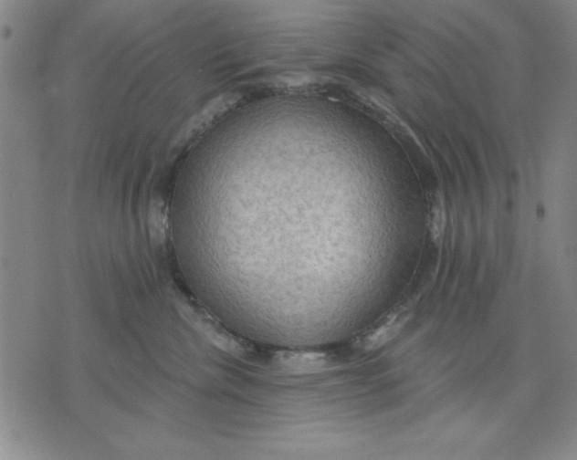 X0000076220476200610191537