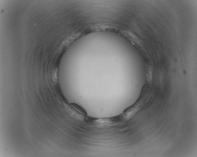 X0000076220477200610191537