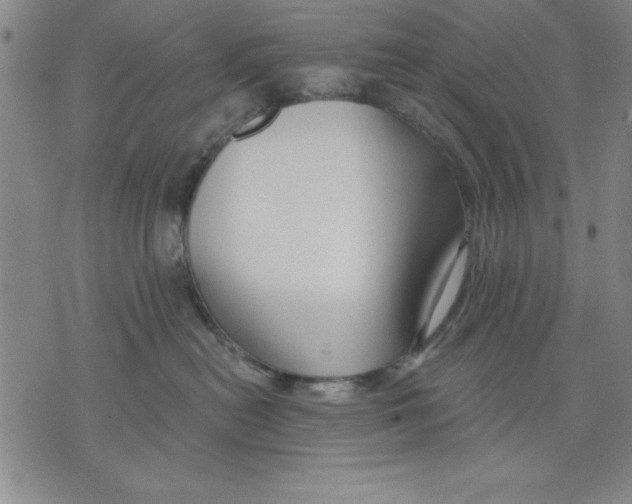 X0000076220478200610191537