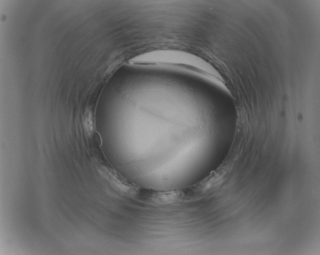 X0000076220479200610191537