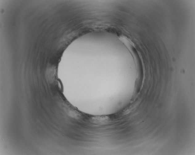 X0000076220480200610191537