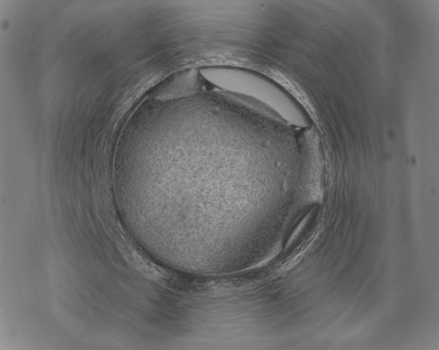 X0000076220481200610191536