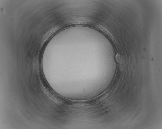 X0000076220482200610191536