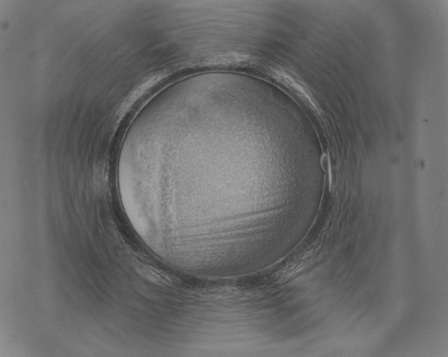 X0000076220483200610191536