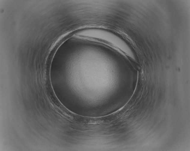 X0000076220484200610191536