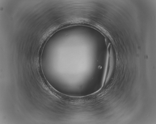 X0000076220485200610191536