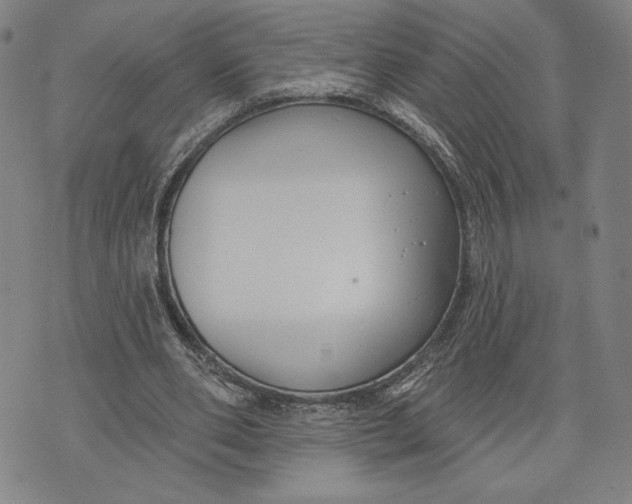 X0000076220486200610191536