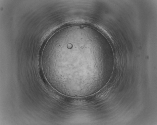 X0000076220487200610191536