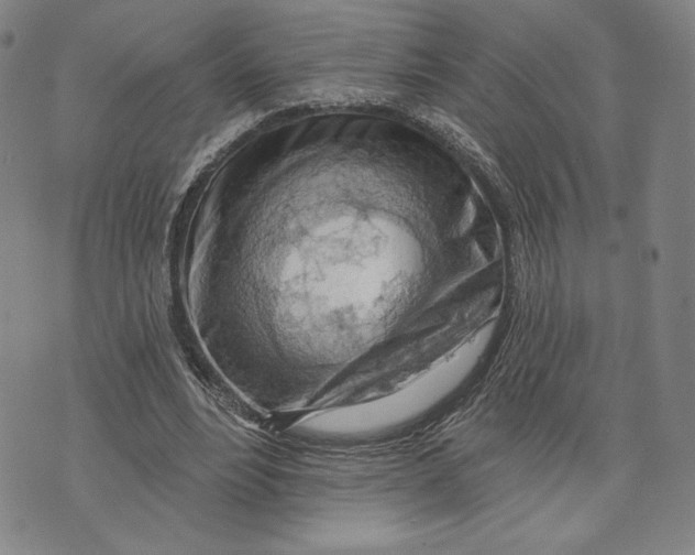 X0000076220488200610191536