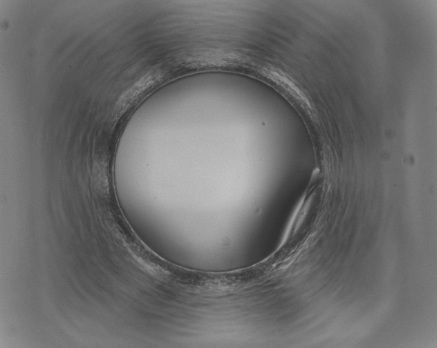 X0000076220489200610191536