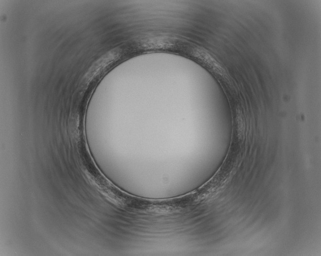 X0000076220490200610191536