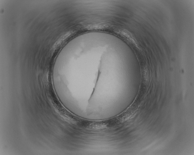 X0000076220491200610191536