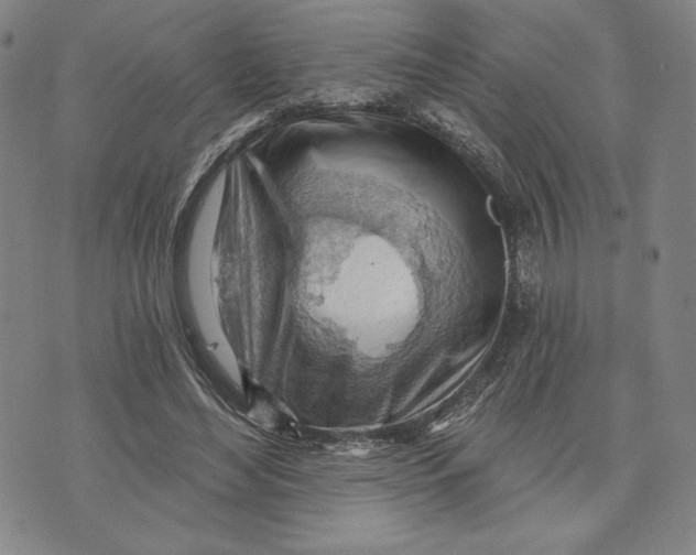 X0000076220492200610191536