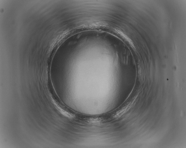 X0000076220493200610191536