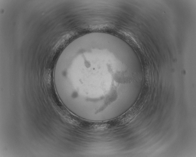 X0000076220495200610191536