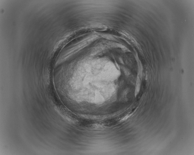 X0000076220496200610191536