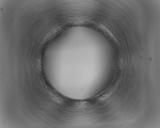 X0000076220497200610191536