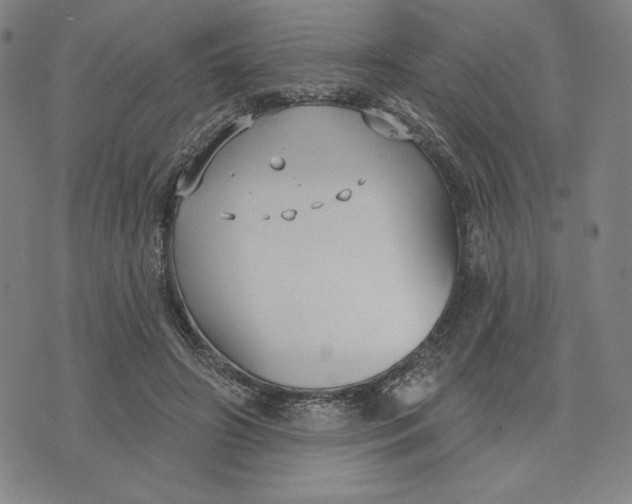 X0000076220498200610191536