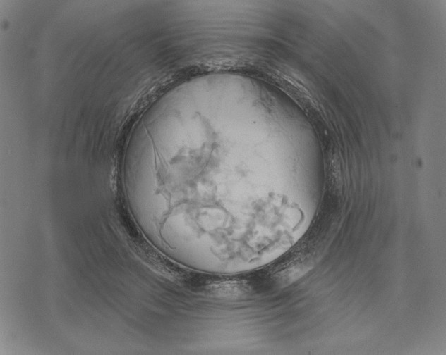 X0000076220499200610191536