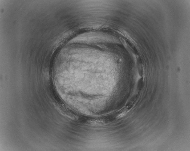 X0000076220500200610191536