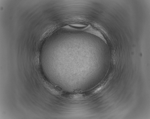 X0000076220501200610191536