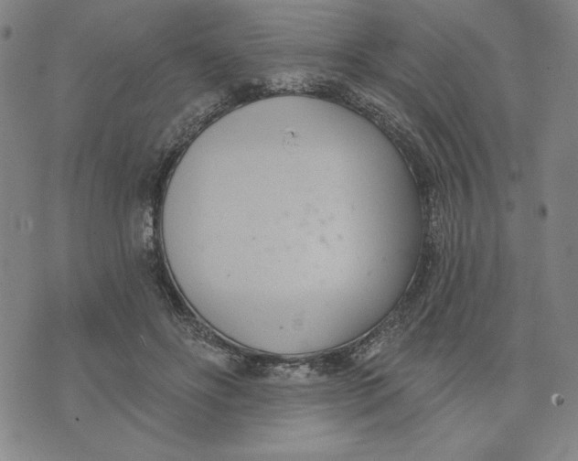 X0000076220502200610191536