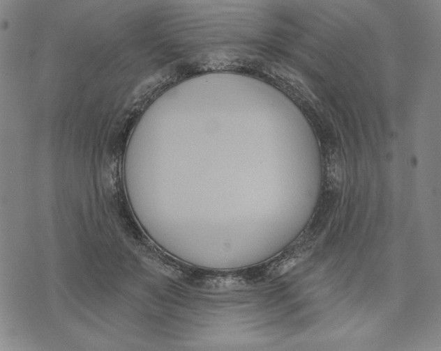 X0000076220503200610191536